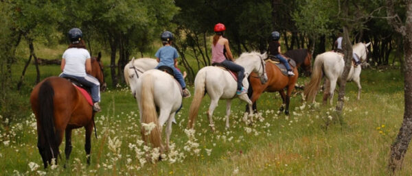 paseos a caballo