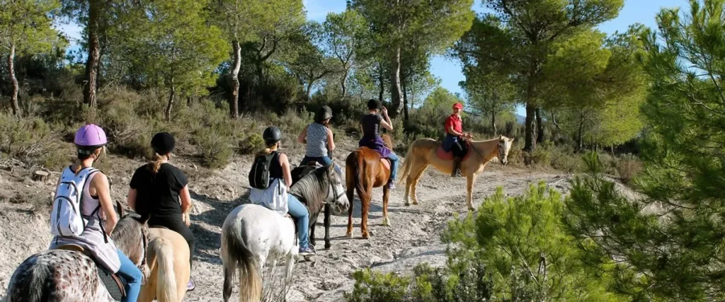 paseos a caballo