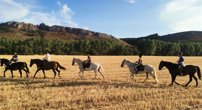 Paseos a caballo en Valencia 