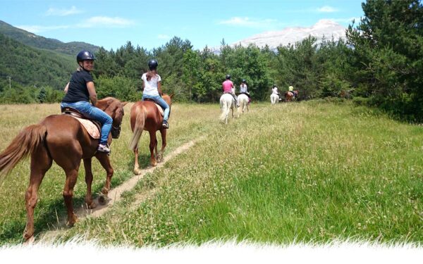 Paseos a caballo en Valencia