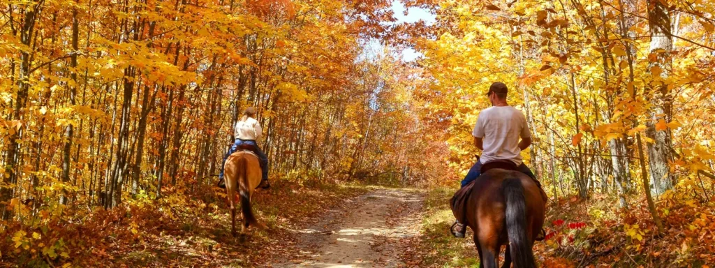 Paseos en caballo en Valencia