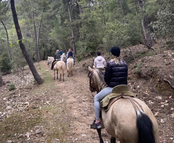 rutas a caballo